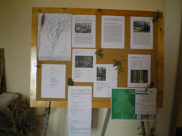 PA220715.JPG