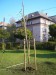 PA220726.jpg